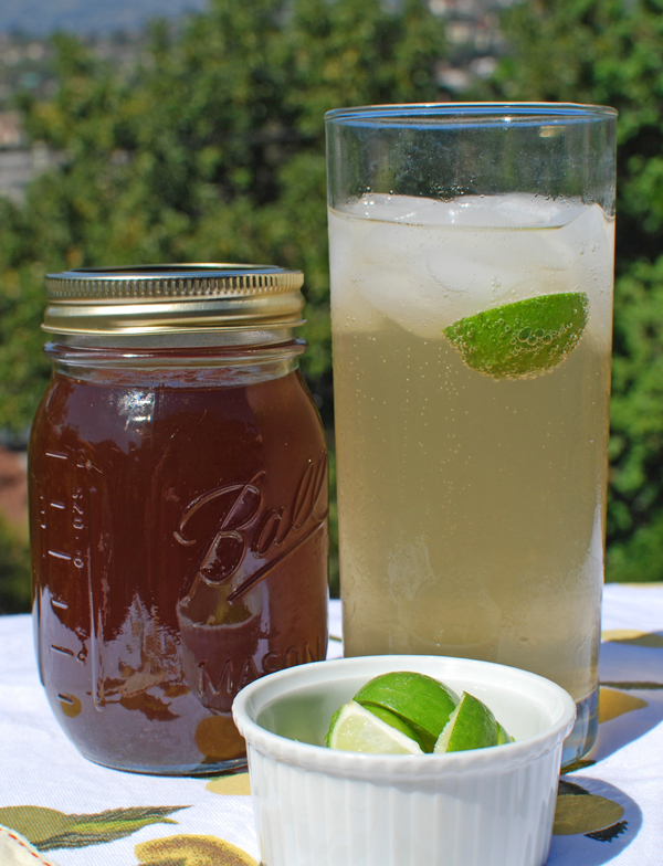 Homemade Ginger Syrup and the SodaStream Soda Maker — Former Chef
