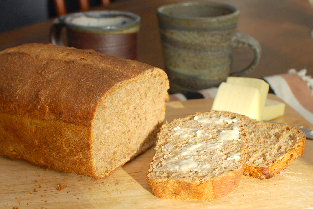 healthy whole wheat bread recipe
